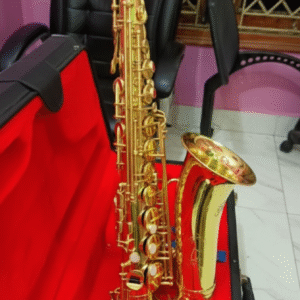 alimson alto saxophone
