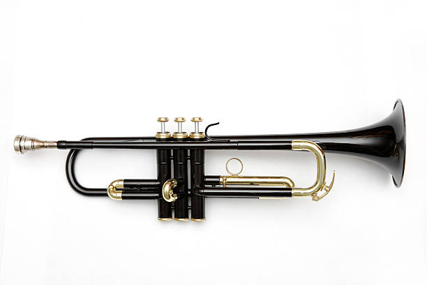istockphoto 96892317 612x612 black trumpet